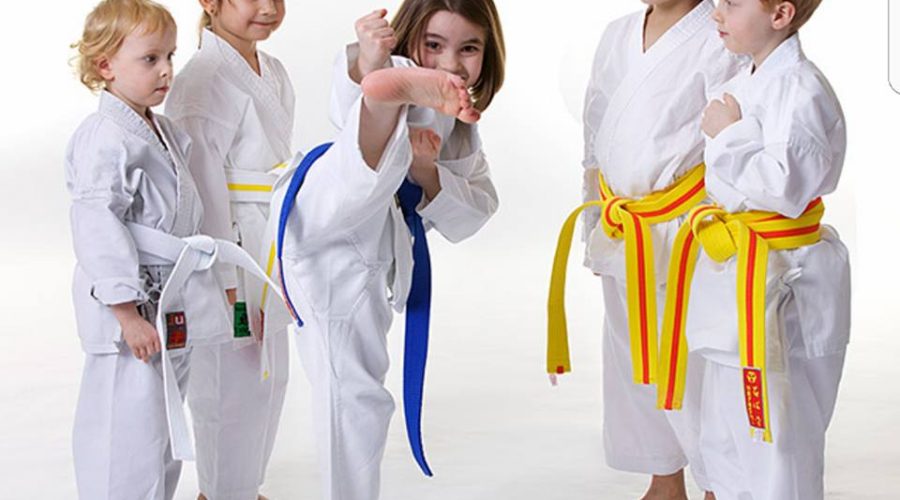 Karate-Kinder-Camp in den Sommerferien 2019